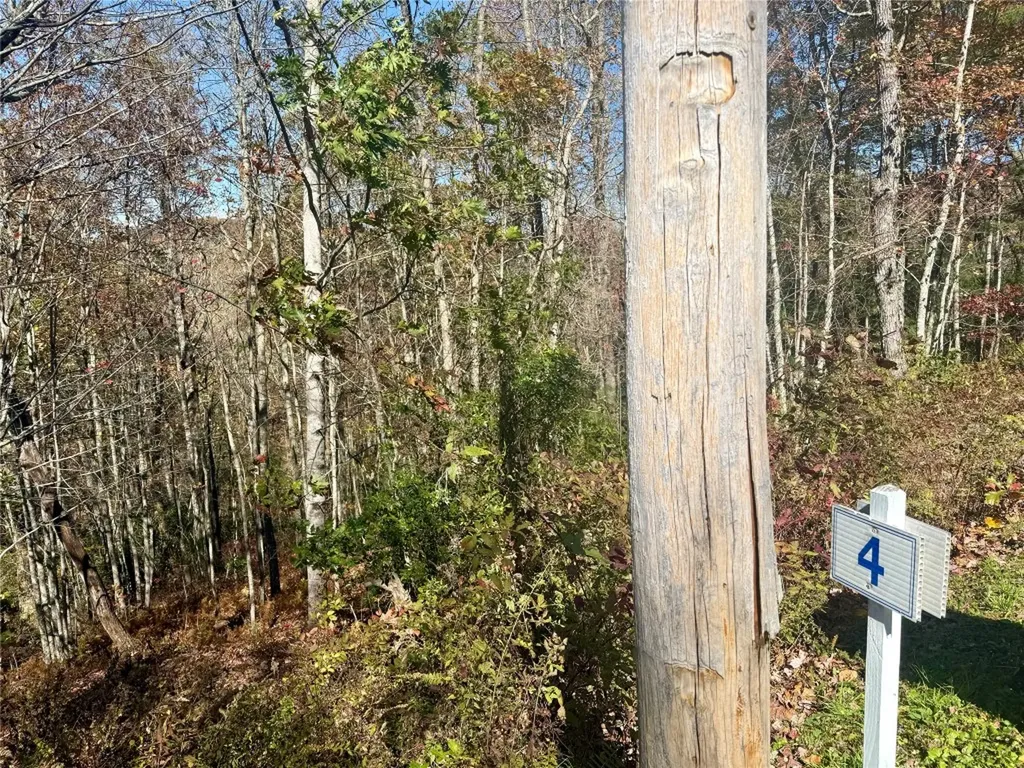 0 Stone Cliffs Lane Cashiers NC 28717