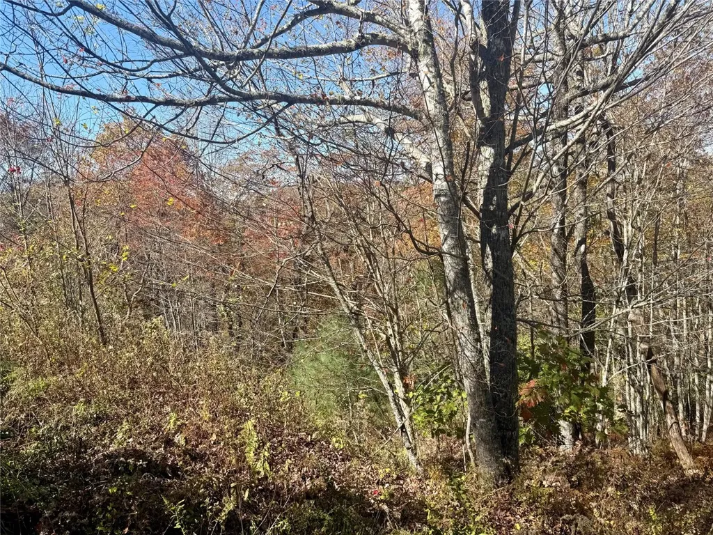 0 Stone Cliffs Lane Cashiers NC 28717