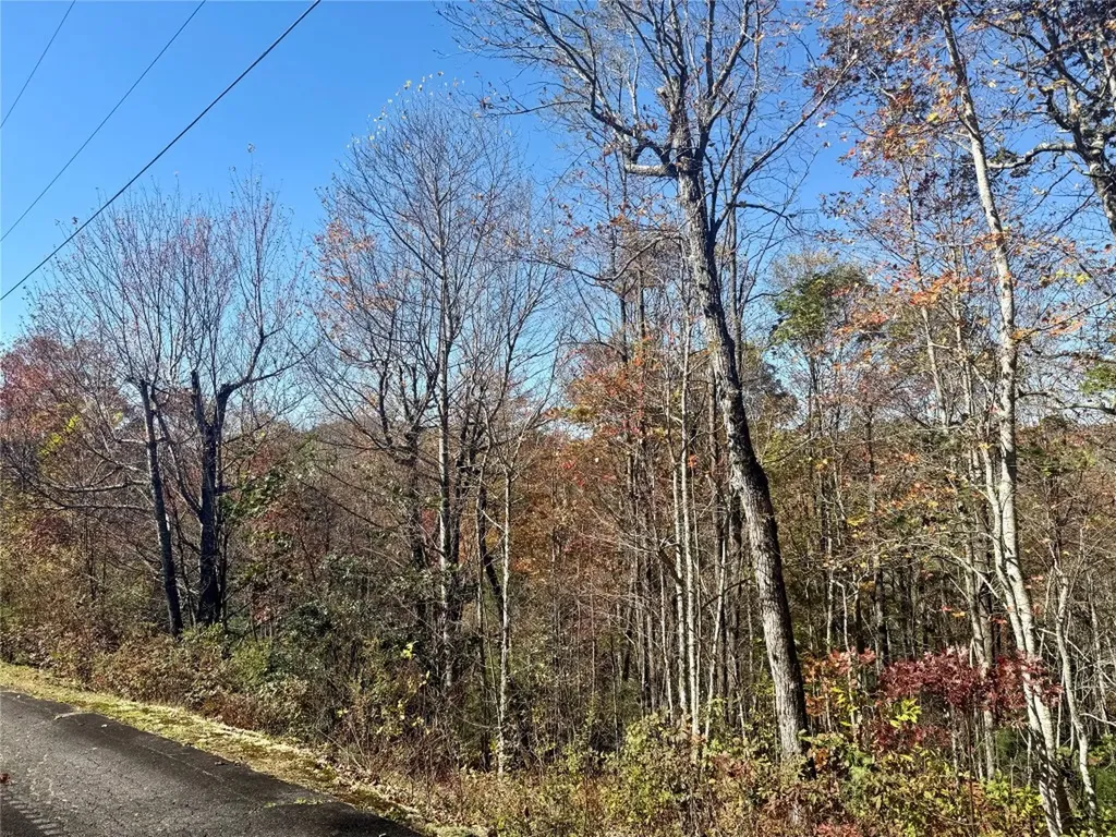 0 Stone Cliffs Lane Cashiers NC 28717