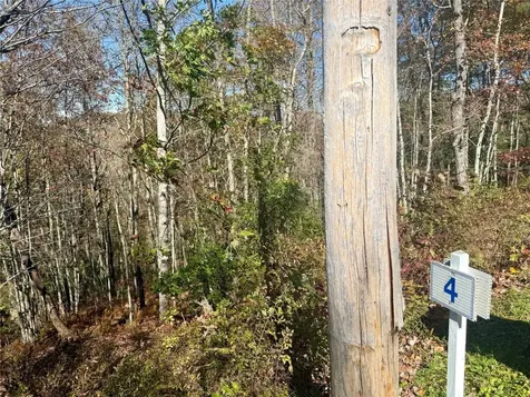 0 Stone Cliffs Lane Cashiers NC 28717