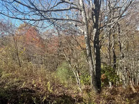 0 Stone Cliffs Lane Cashiers NC 28717