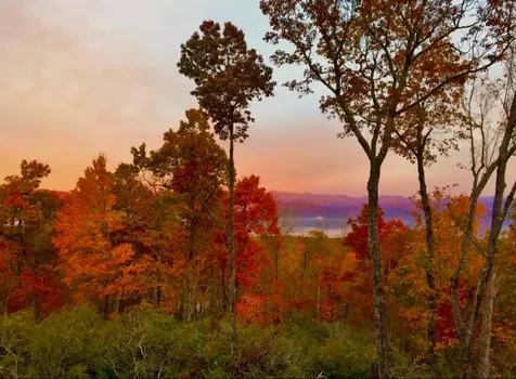 156 Tarah Lane Pisgah Forest NC 28768