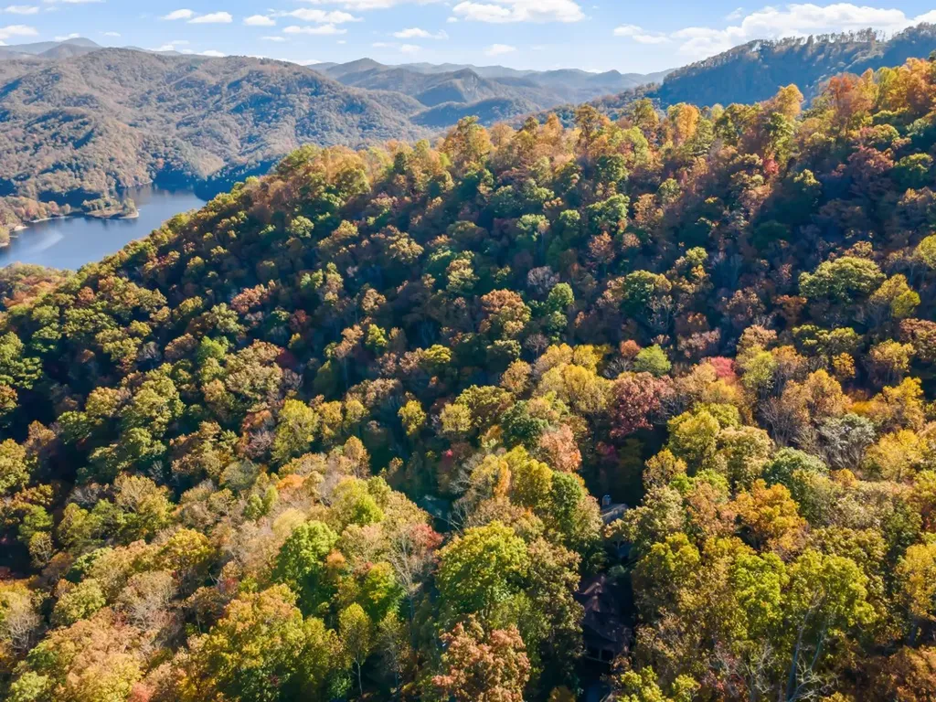 325 Hedgewood Drive Tuckasegee NC 28783