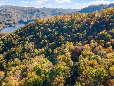 325 Hedgewood Drive Tuckasegee NC 28783