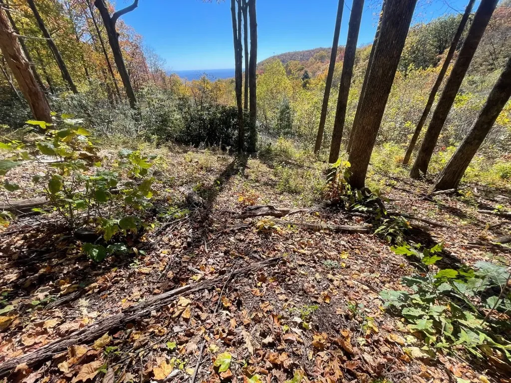 Tbd Kettle Rock Road Highlands NC 28741