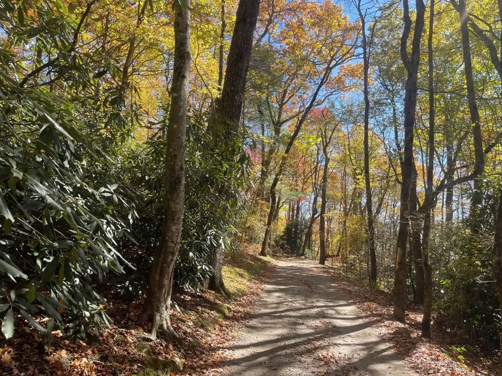 Tbd Kettle Rock Road Highlands NC 28741