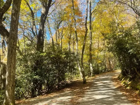 Tbd Kettle Rock Road Highlands NC 28741