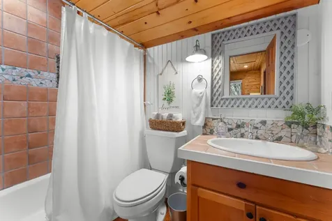 369 Ritchie Road Scaly Mountain NC 28775