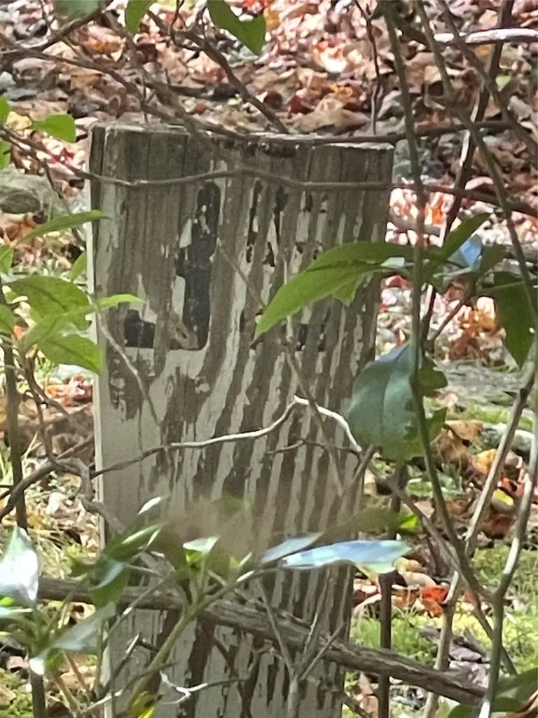 35 Locust Court Sapphire NC 28774