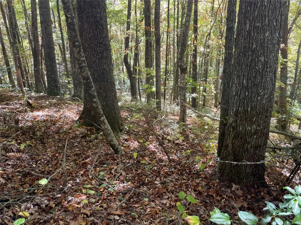 35 Locust Court Sapphire NC 28774