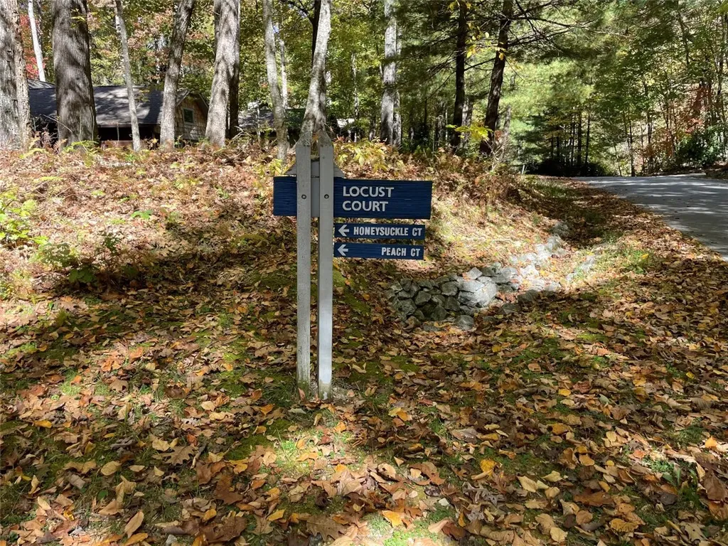 35 Locust Court Sapphire NC 28774