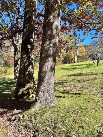 Tbd Dillard Road Highlands NC 28741