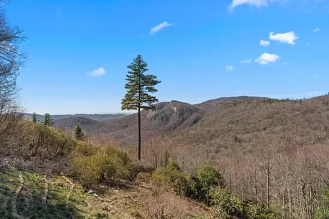 67 Sagee Drive Highlands NC 28741