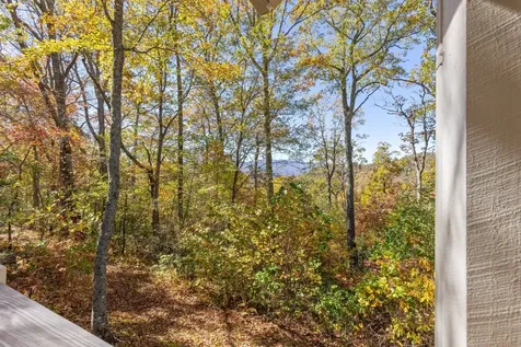 2473 Highland Gap Road Scaly Mountain NC 28775