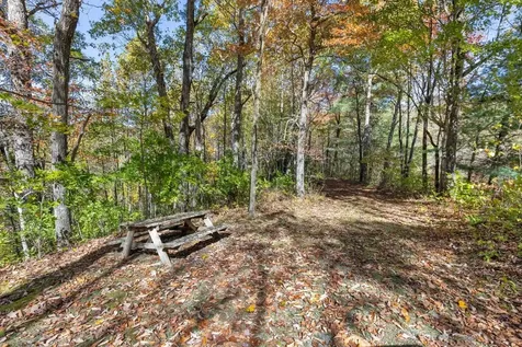 2473 Highland Gap Road Scaly Mountain NC 28775