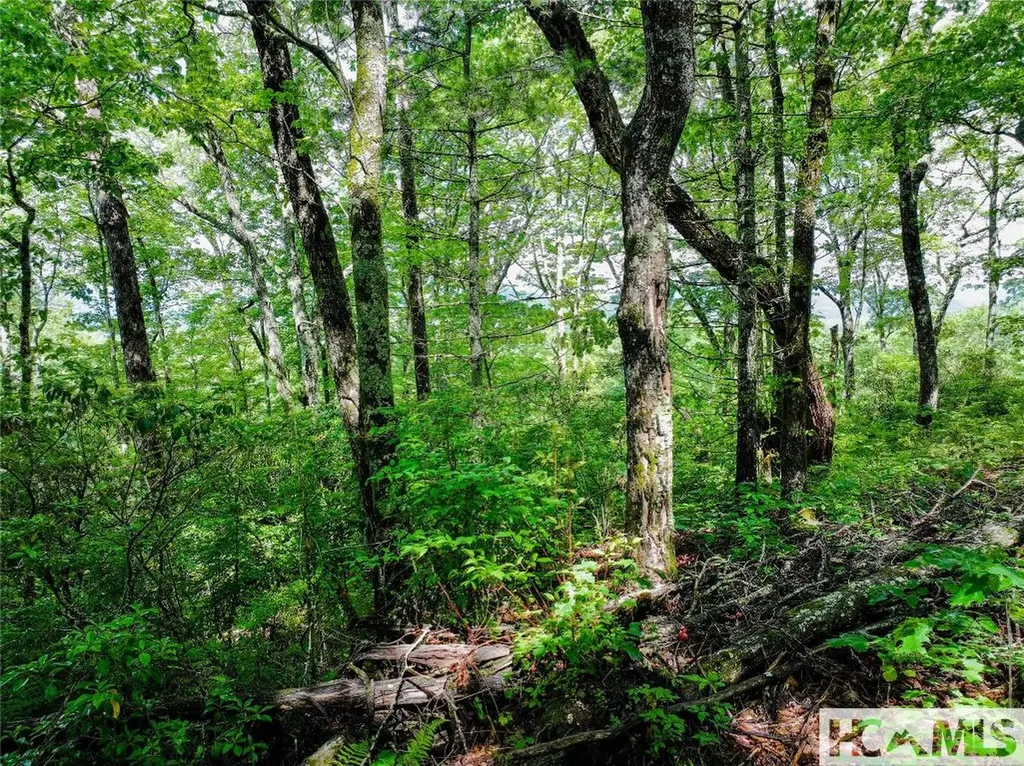 Lot 176a Moorewood Road Highlands NC 28741