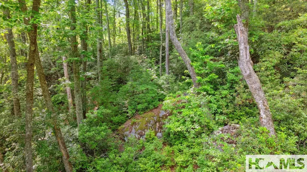 Lot 176a Moorewood Road Highlands NC 28741