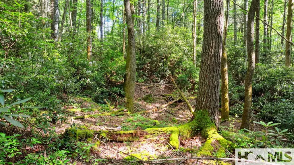 Lot 176a Moorewood Road Highlands NC 28741