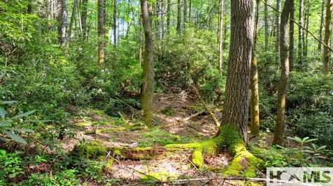 Lot 176a Moorewood Road Highlands NC 28741