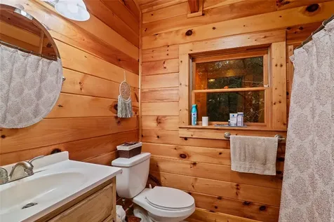 325 Owl Haven Lane Cedar Mountain NC 28718