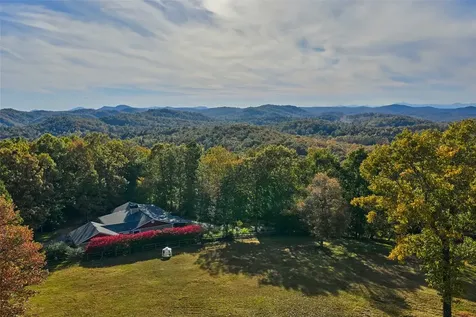 325 Owl Haven Lane Cedar Mountain NC 28718