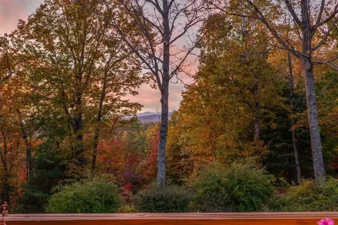 325 Owl Haven Lane Cedar Mountain NC 28718