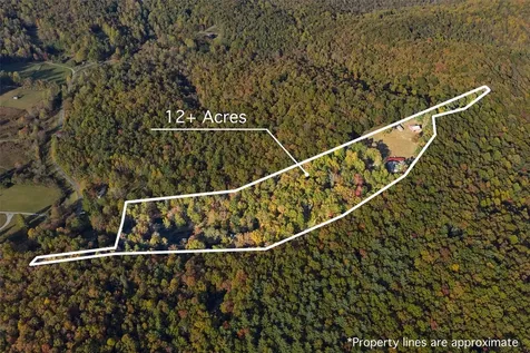 325 Owl Haven Lane Cedar Mountain NC 28718