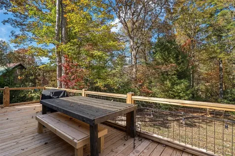 325 Owl Haven Lane Cedar Mountain NC 28718