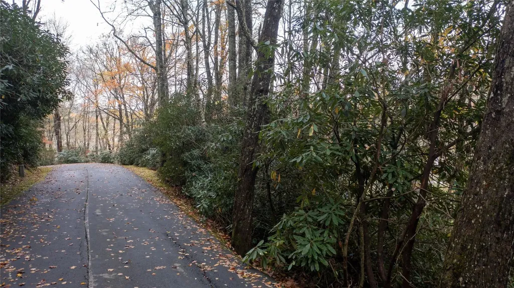 Lot 10 Sassafras Court Highlands NC 28741