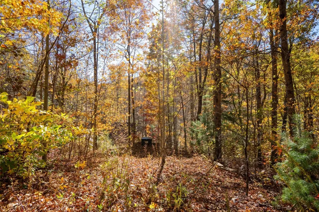 17 Pilot Knob Road Glenville NC 28736