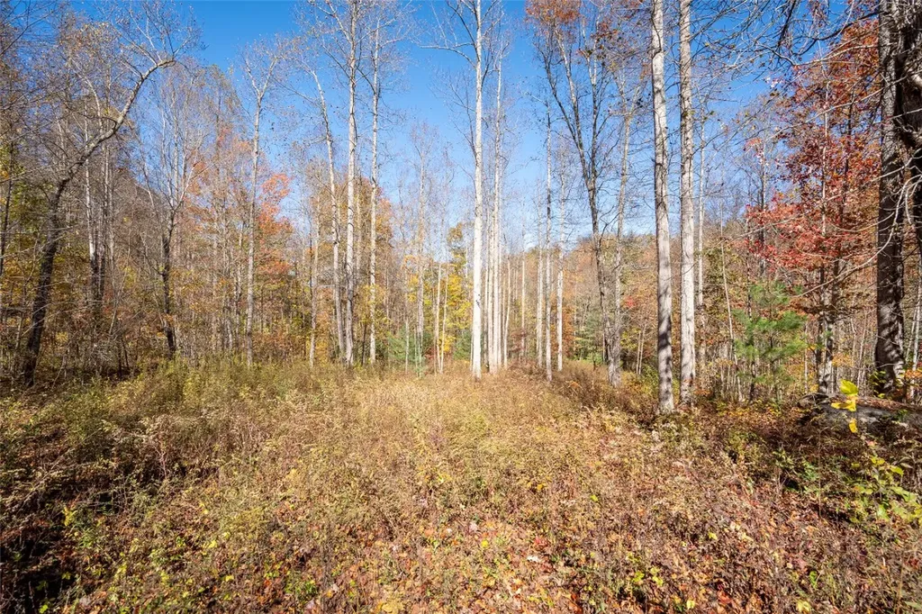 81 Pasture Road Glenville NC 28736