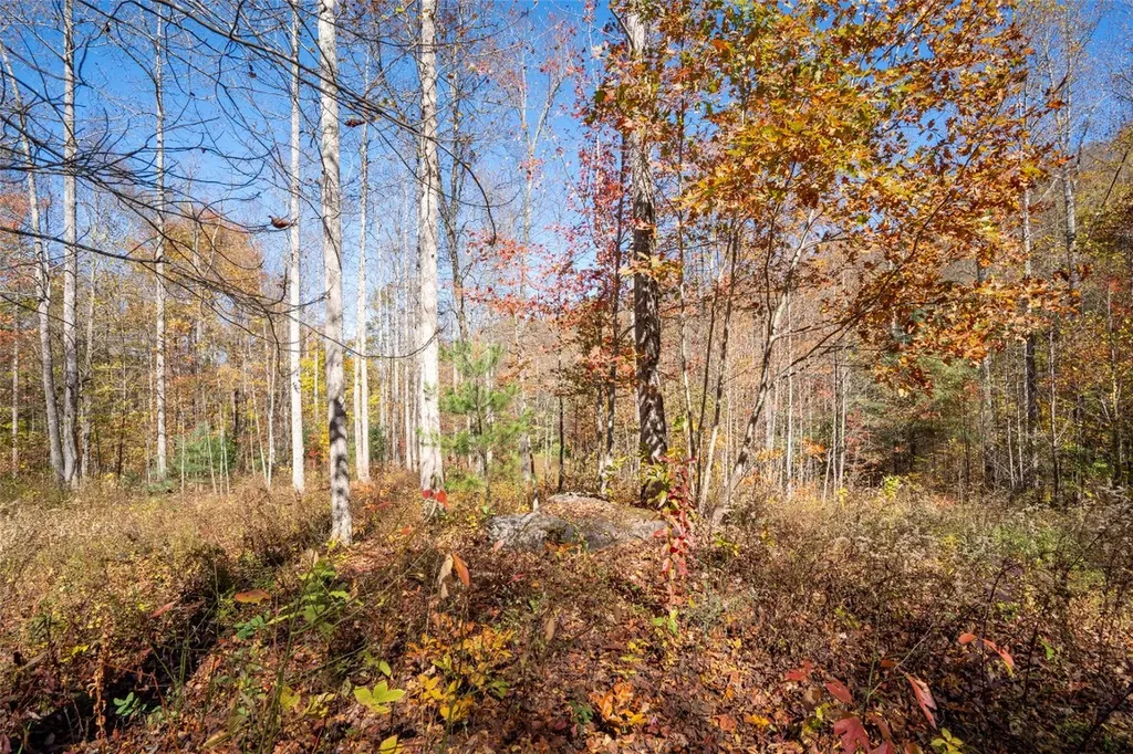 81 Pasture Road Glenville NC 28736