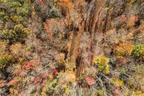 81 Pasture Road Glenville NC 28736