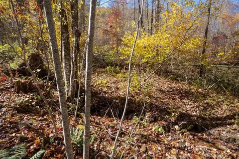 81 Pasture Road Glenville NC 28736