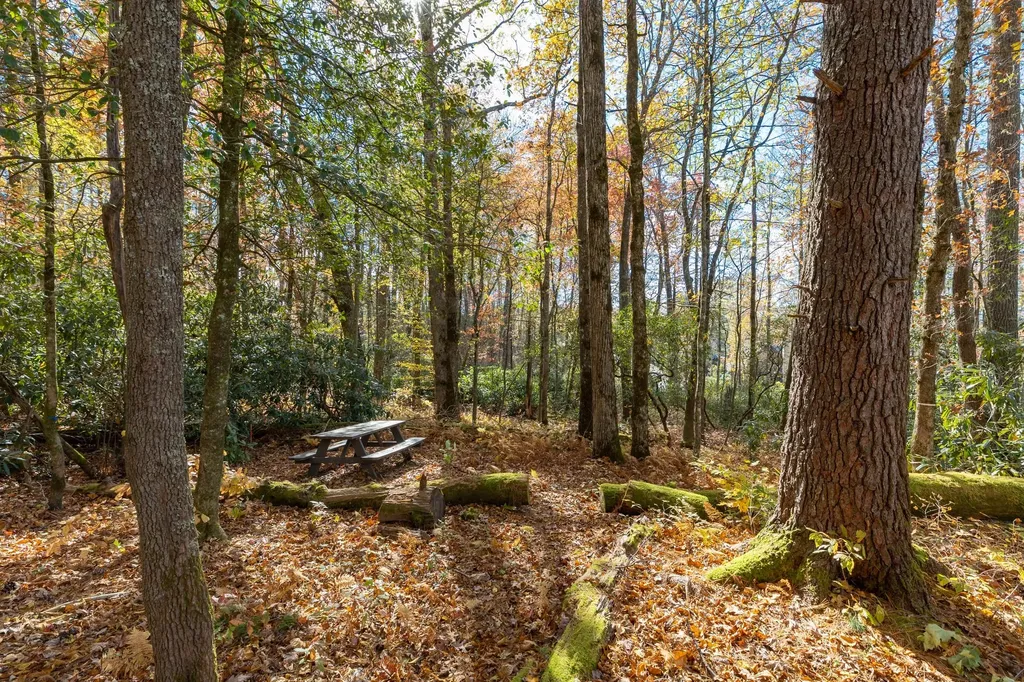 16 Flagstone Road Cashiers NC 28717