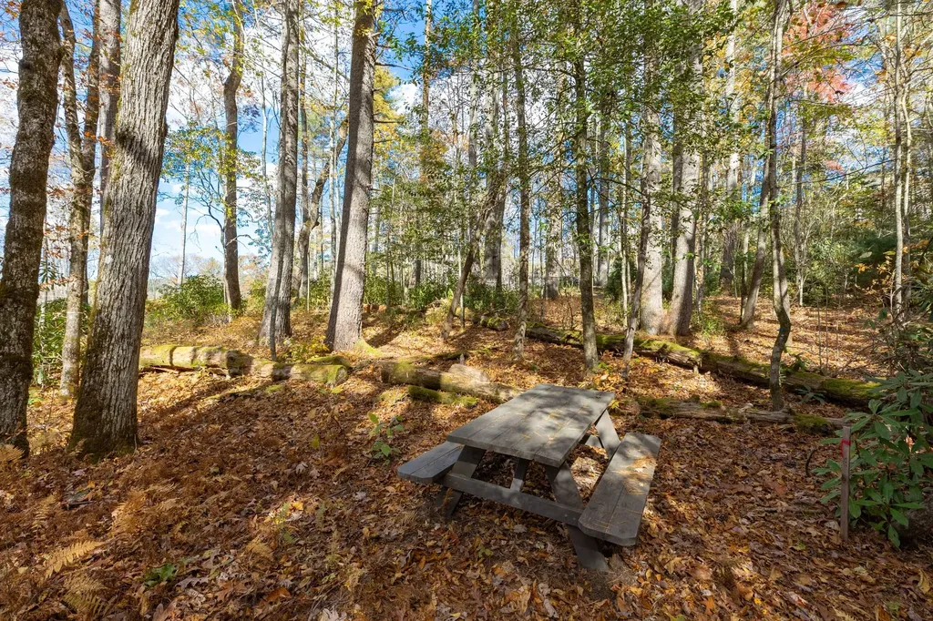 16 Flagstone Road Cashiers NC 28717