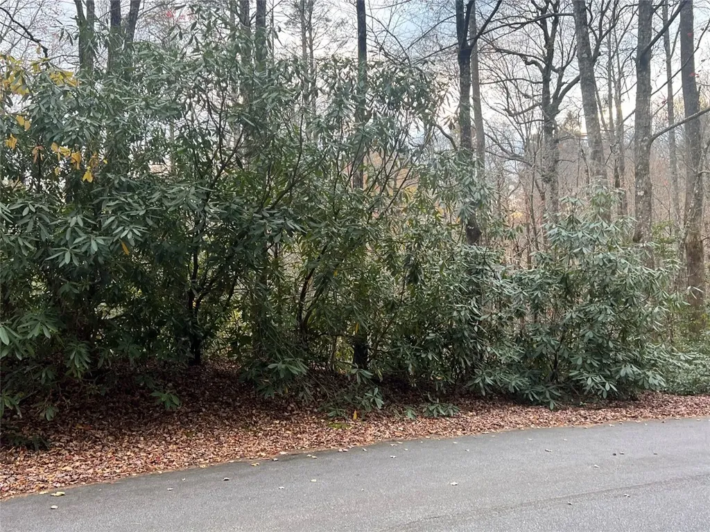 72 Hickory Drive Sapphire NC 28774