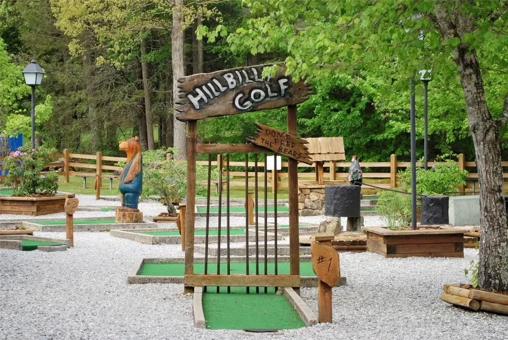 72 Hickory Drive Sapphire NC 28774