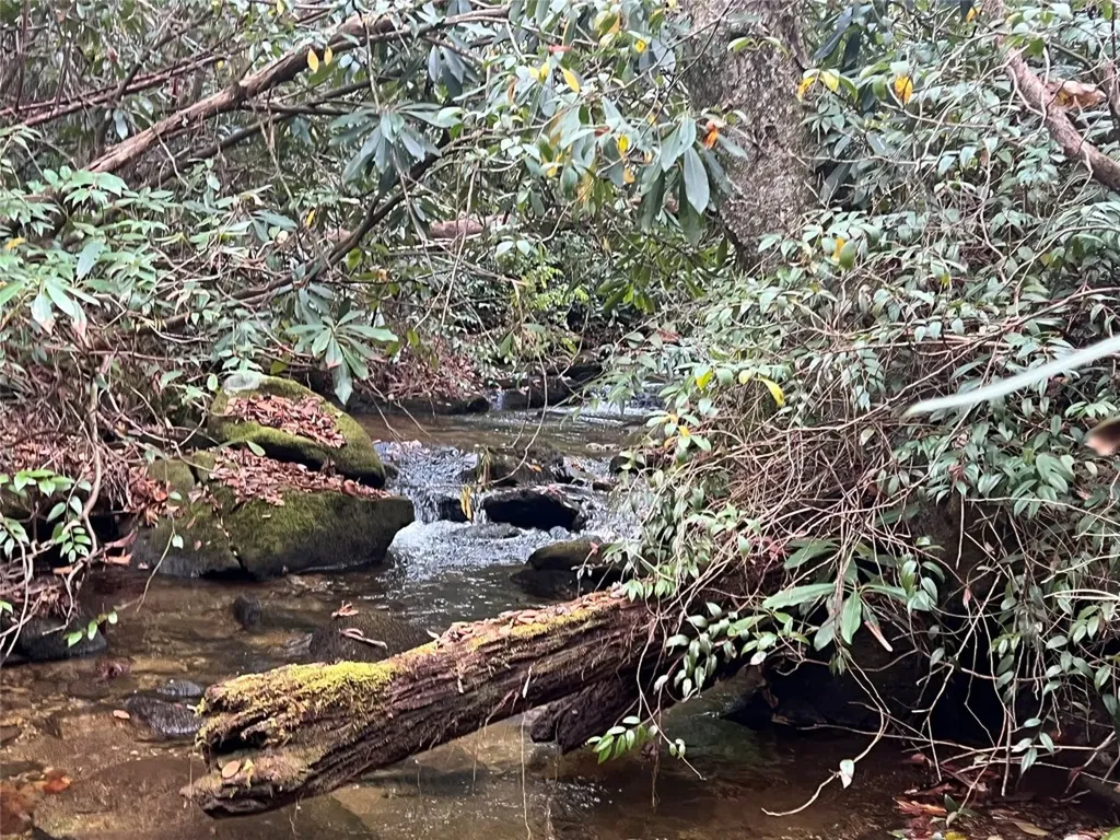 72 Hickory Drive Sapphire NC 28774