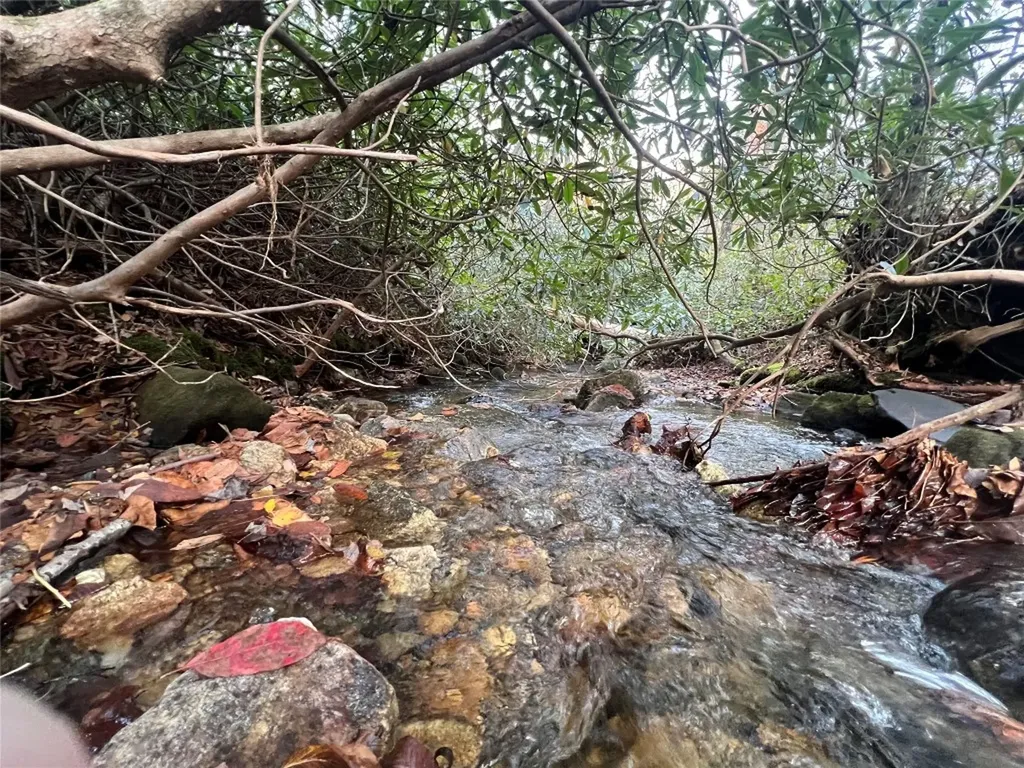 72 Hickory Drive Sapphire NC 28774