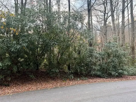 72 Hickory Drive Sapphire NC 28774