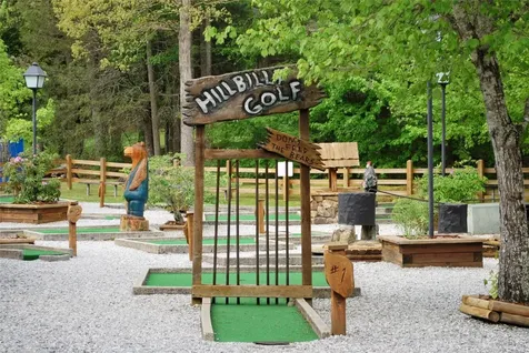 72 Hickory Drive Sapphire NC 28774