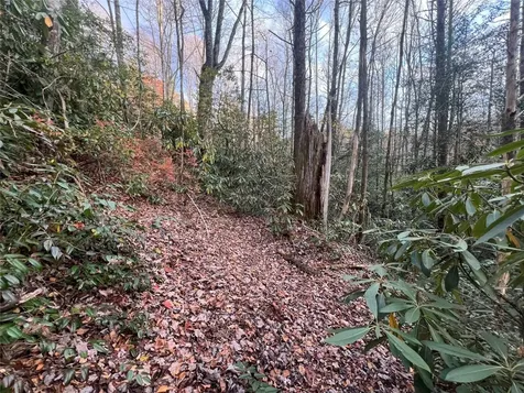 72 Hickory Drive Sapphire NC 28774