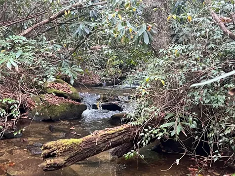 72 Hickory Drive Sapphire NC 28774