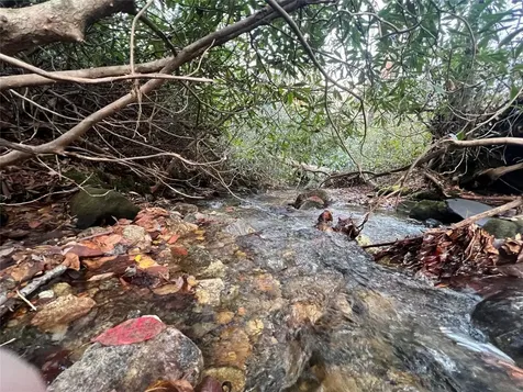 72 Hickory Drive Sapphire NC 28774