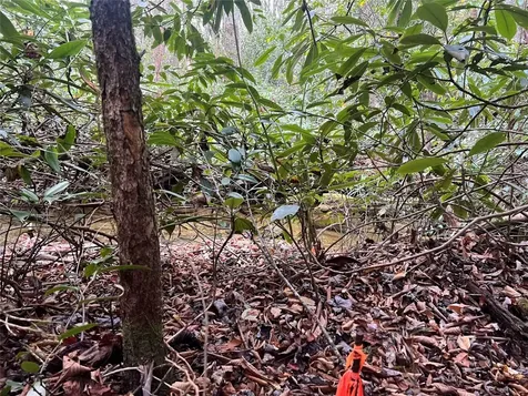 72 Hickory Drive Sapphire NC 28774