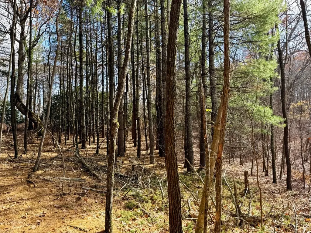 0 Glenridge Road Glenville NC 28736