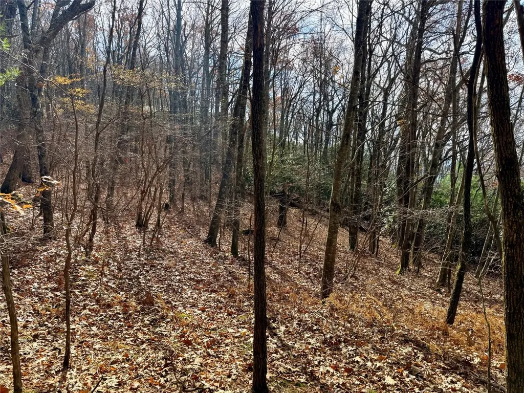 0 Glenridge Road Glenville NC 28736