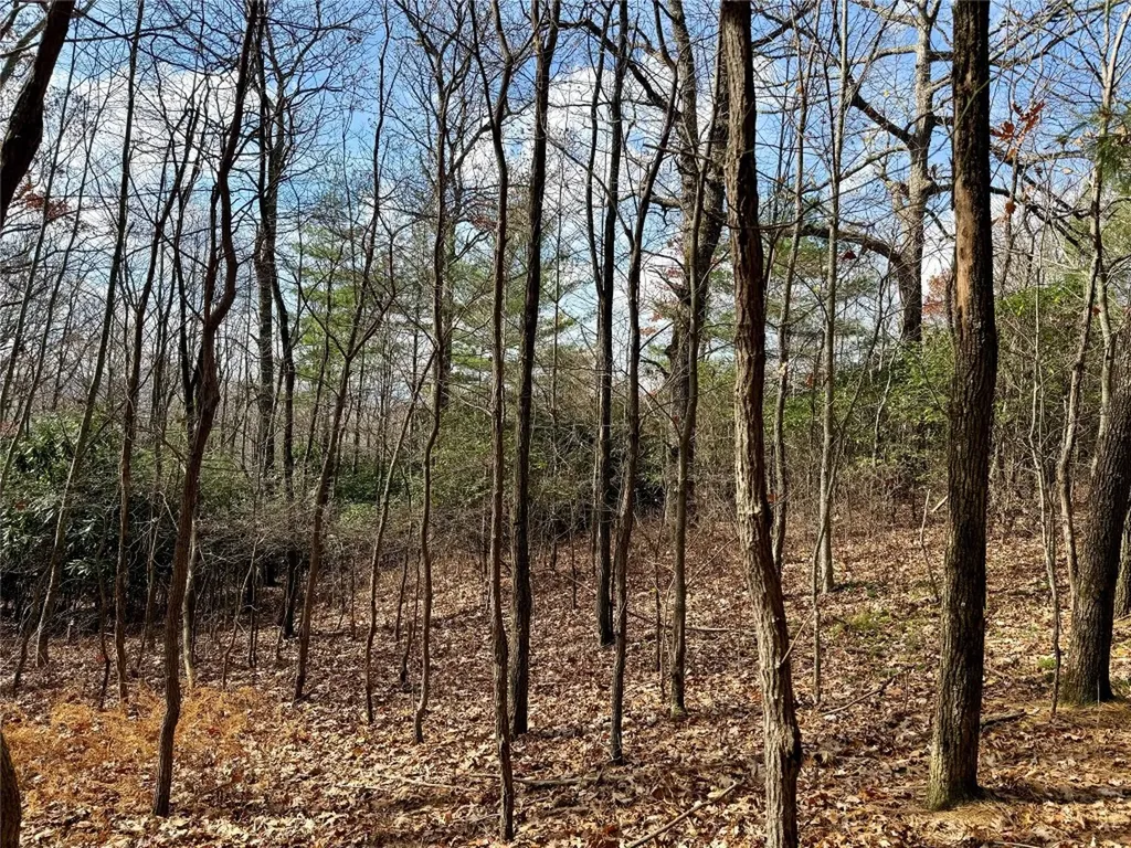 0 Glenridge Road Glenville NC 28736