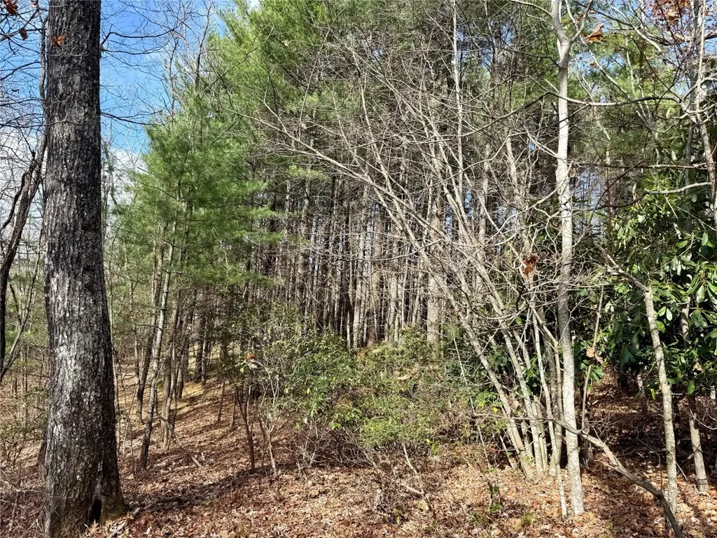 0 Glenridge Road Glenville NC 28736